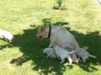 /album/fotos-recentes-/fotos-072-jpg/